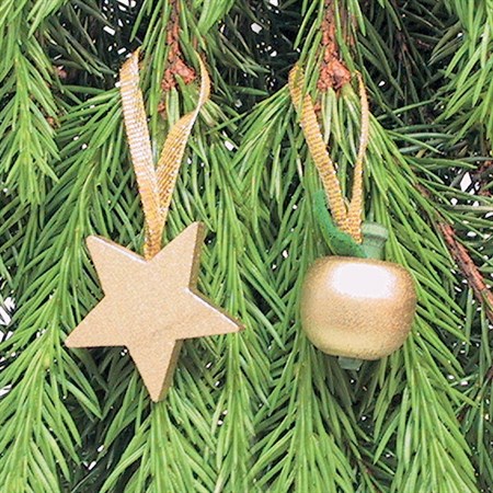 Paradisäpple guld