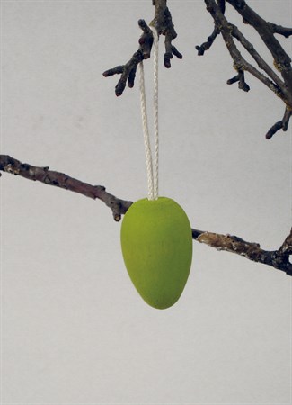 Ägg lime med bomullssnöre